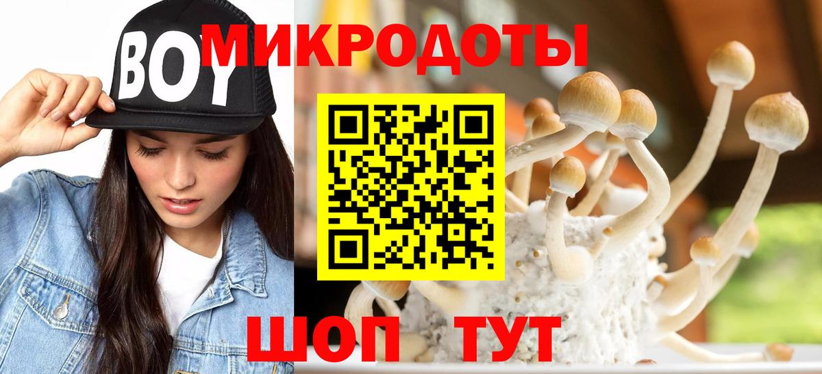 Галлюциногенные грибы мухоморы  Вход с VPN  Губкин  Галлюциногенные грибы Psilocybine cubensis 